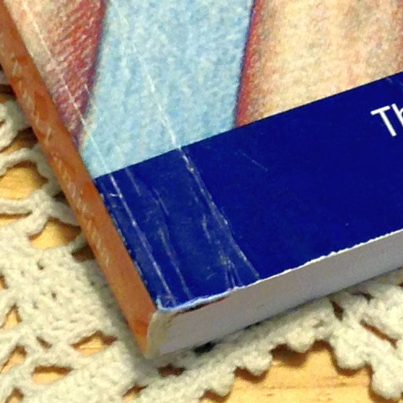 3 for $10 book sale! Surrogacy Pitfalls , True Story,  Surrogacy or Conspiracy? - Picture 4 of 7